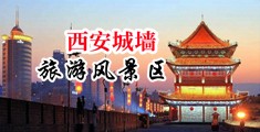 欧洲毛逼视频中国陕西-西安城墙旅游风景区